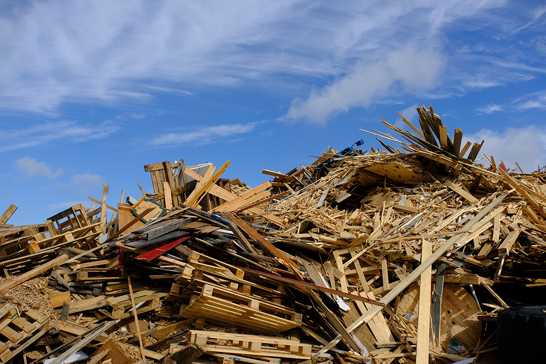 copyright-kathrine-torday-gulden